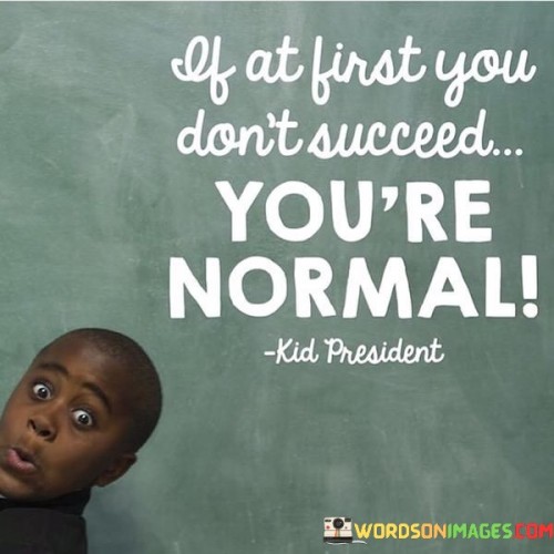 If At First You Don't Succeed You're Normal Quotes