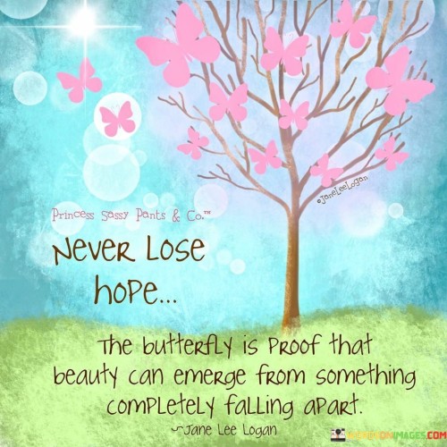 Never-Lose-Hope-The-Butterfly-Is-Proof-That-Beauty-Quotes.jpeg