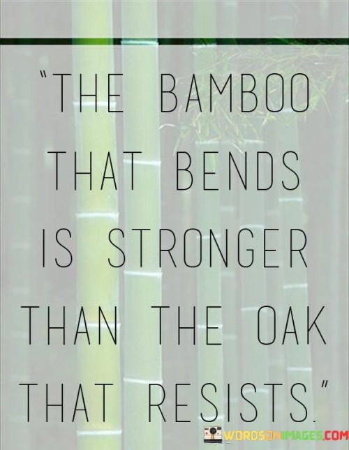 The-Bamboo-That-Bends-Is-Stronger-Than-The-Oak-Quotes.jpeg