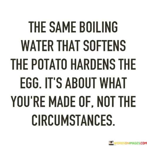 The-Same-Boiling-Water-That-Softens-The-Potato-Hardens-Quotes.jpeg