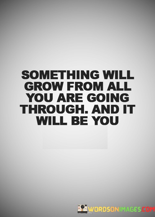 Something-Will-Grow-From-All-You-Are-Going-Through-Quotes41386eabb6523786.jpeg