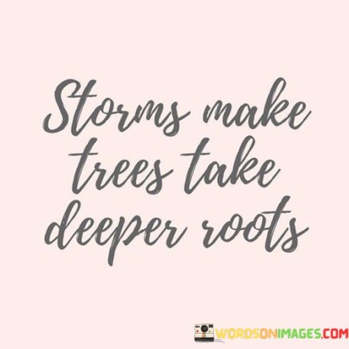 Storms Make Trees Take Deeper Roots Quotes
