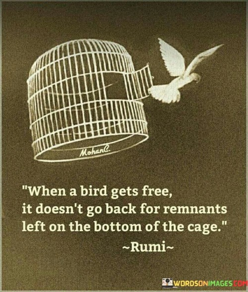 When A Bird Gets Free It Doesn't Go Back For Qoutes