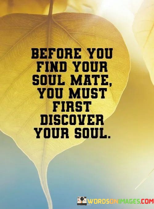 Before-You-Find-Your-Soul-Mate-You-Must-First-Discover-Quotes.jpeg