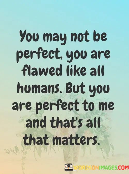 You-May-Not-Be-Perfect-You-Are-Flawed-Like-All-Human-Quotes.jpeg