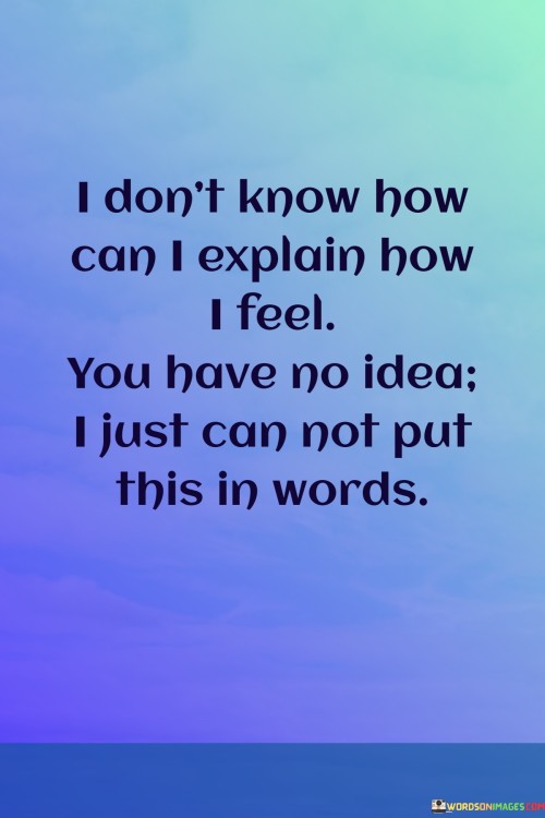 I-Dont-Know-How-Can-I-Explain-How-I-Feel-You-Have-No-Idea-I-Just-Can-Not-Quotes.jpeg