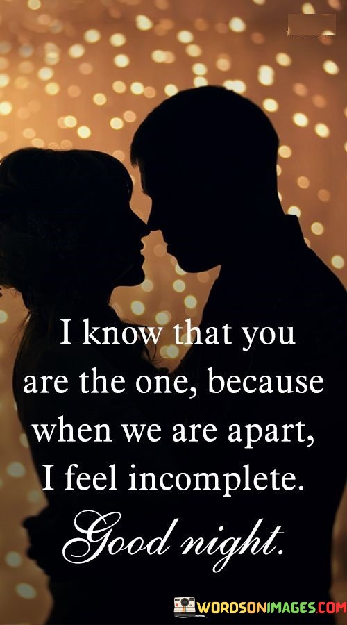 I-Know-That-You-Are-The-One-Because-When-We-Are-Apart-I-Feel-Incomplete-Quotes.jpeg