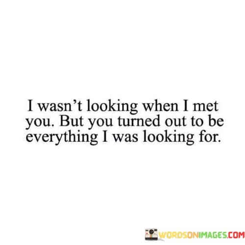 I-Wasnt-Looking-When-I-Met-You-But-You-Turned-Out-To-Be-Quotes.jpeg