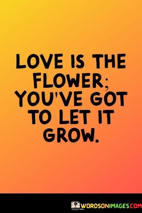 Love-Is-The-Flower-Youve-Got-To-Let-It-Grow-Quotes.jpeg