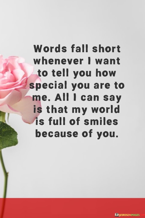 Words-Fall-Short-Whenever-I-Want-To-Tell-You-How-Special-You-Are-To-Me-Quotes.jpeg