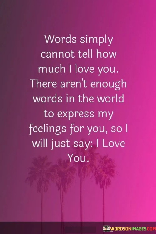 Words-Simply-Cannot-Tell-How-Much-I-Love-You-There-Arent-Enough-Words-In-Quotes.jpeg