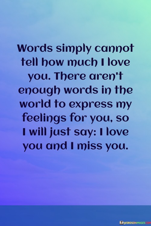 Words Simply Cannot Tell How Much I Love You There Aren't Enough Words Quotes