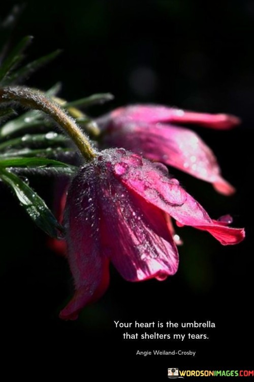 Your Heart Is The Umbrella That Shelters My Tears Quotes