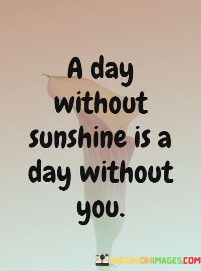 A-Day-Without-Sunshine-Is-A-Day-Without-You-Quotes.jpeg