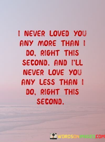 I-Never-Loved-You-Any-More-Than-I-Do-Right-This-Second-Quotes.jpeg