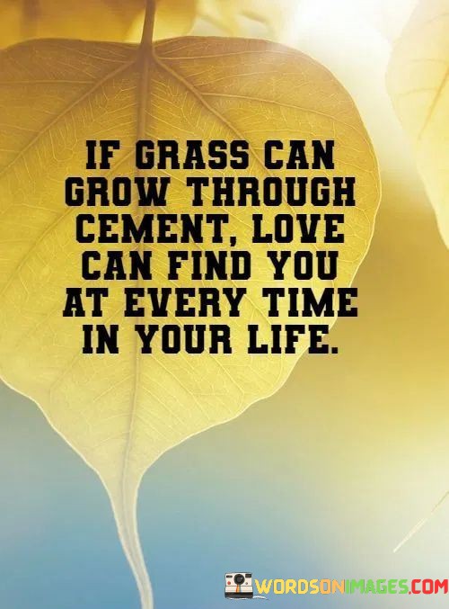 If-Grass-Can-Grow-Through-Cement-Love-Can-Find-You-Quotes.jpeg