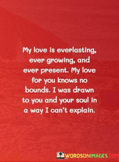 My-Love-Is-Everlaasting-Ever-Growing-And-Ever-Present-My-Love-Quotes.jpeg