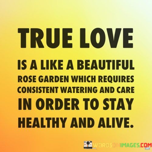 True-Love-Is-A-Like-A-Beautiful-Rose-Garden-Which-Quotes.jpeg