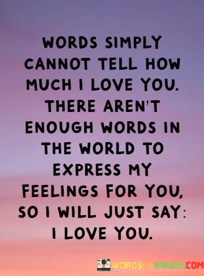 Words-Simply-Cannot-Tell-How-Much-I-Love-You-There-Arent-Enough-Words-In-Quotes.jpeg