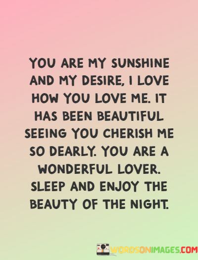 You-Are-My-Sunshine-And-My-Desire-I-Love-How-You-Quotes.jpeg