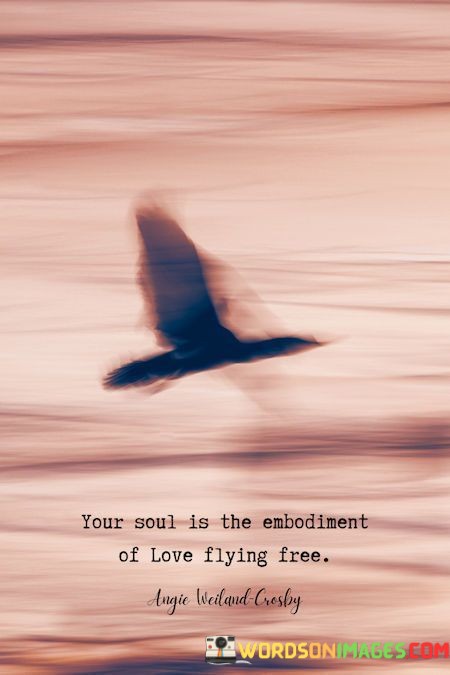 Your-Soul-Is-The-Embodiment-Of-Love-Flying-Free-Quotes.jpeg