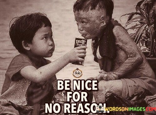 Be Nice For No Reason Quotes