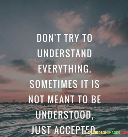 Dont-Try-To-Understand-Everything-Sometimes-It-Is-Not-Meant-Quotes.jpeg