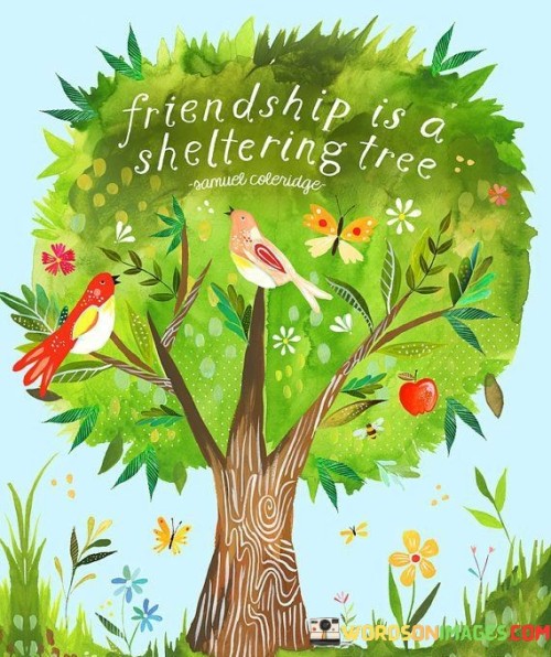 Friendship-Is-A-Sheltring-Tree-Quotes.jpeg