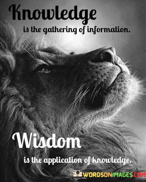 Knowledge Is The Gathering Of Information Wisdom Is The Application Of Knowledge Quotes