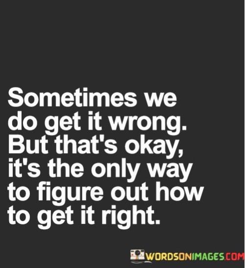 Sometimes We Do Get It Worng But That's Okay Quotes