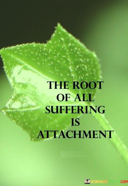 The-root-of-all-suffering-is-attachment-Quotes.jpeg