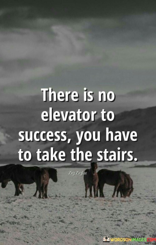 There Is No Elevator To Success You Have To Take The Stairs Quotes
