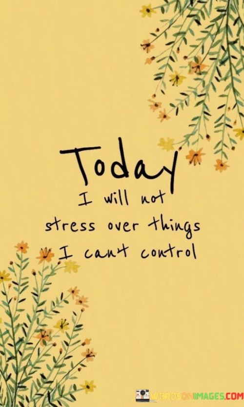 The quote reflects the idea of focusing on what's manageable. "Today I will not stress" signifies a conscious decision to avoid anxiety. "Things I can't control" alludes to external factors. It conveys a commitment to let go of unnecessary worry and prioritize a calmer outlook.

The quote highlights the value of maintaining perspective. It implies that energy spent on uncontrollable elements is counterproductive. "Today" emphasizes a daily commitment to positive mental habits, emphasizing the importance of focusing on one's own reactions rather than external forces.

In essence, the quote promotes emotional well-being through acceptance. It advocates for redirecting attention from external uncertainties to internal responses. By choosing not to stress over the uncontrollable, the quote encourages emotional resilience and a healthier approach to navigating life's challenges.