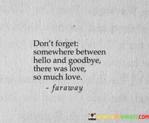 Dont-Forget-Somewhere-Between-Hello-And-Goodbye-There-Was-Love-So-Much-Love-Quotes.jpeg