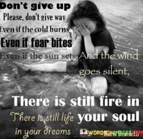 Don't Give Up Please Don't Give Way Even If The Cold Burns Quotess