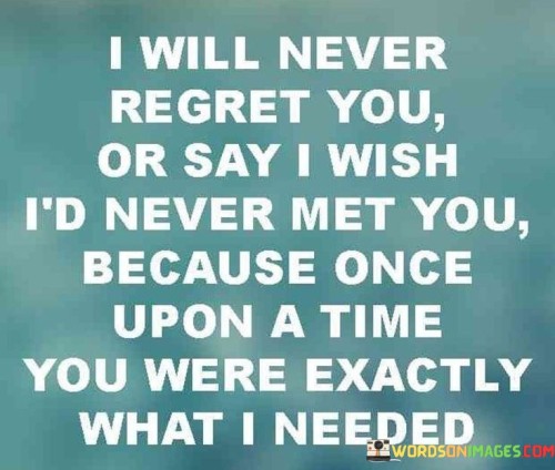 I Will Never Regret You Or Say I Wish I'd Never Met Quotes