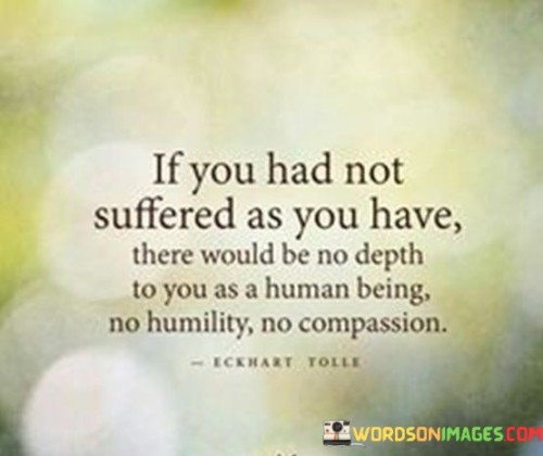 "If you had not suffered as you have": This part of the quote acknowledges the personal suffering and challenges that an individual has faced.

"There would be no depth to you as a human being": This highlights the idea that these experiences add layers of complexity and depth to a person's humanity.

"No humility, no compassion": The quote specifically mentions two qualities, humility and compassion, that can be cultivated through adversity. It implies that without suffering, these virtues may be lacking.

Overall, the quote underscores the idea that adversity and suffering can be transformative, leading to personal growth, greater empathy for others, and a deeper understanding of what it means to be human.