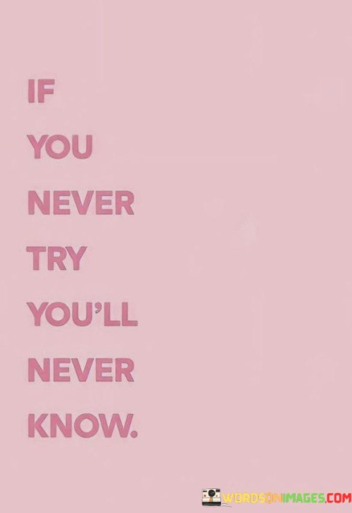 If-You-Never-Try-Youll-Never-Know-Quotes.jpeg