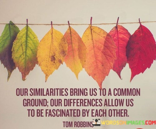 Our Similarities Bring Us To A Common Ground Our Differences Allow Us Quotes