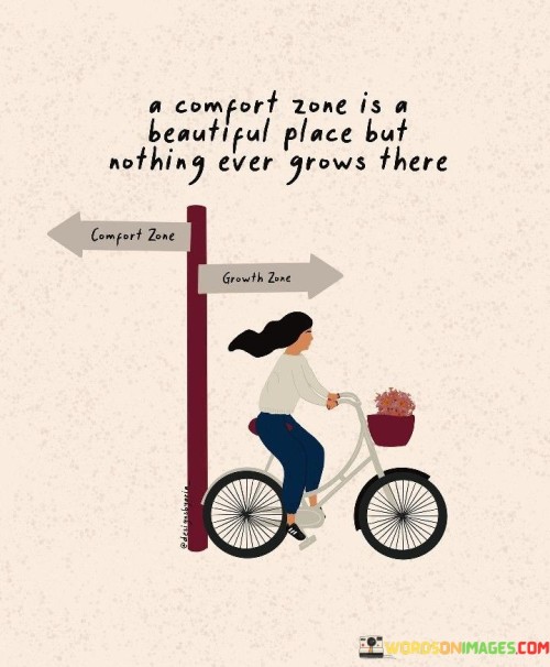 A Comfort Zone Is A Beautiful Place But Nothing Ever Grows There Quotes