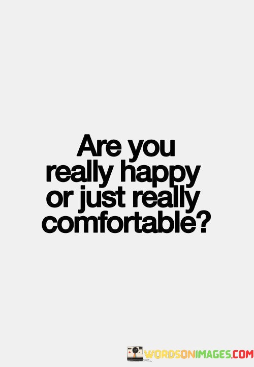 Are-You-Really-Happy-Or-Just-Really-Comfortable-Quotes.jpeg