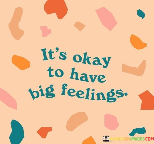 Having strong emotions is alright. This quote conveys the message that experiencing intense feelings is a natural and acceptable part of being human. It suggests that there's no need to suppress or downplay our emotions; instead, it's healthy to acknowledge and express them.

The quote implies that societal norms might sometimes encourage us to hide or minimize our emotions, especially if they are considered "big" or intense. However, it reminds us that our feelings, whether they're joy, sadness, anger, or excitement, are valid. It encourages us to embrace the depth of our emotions and not feel ashamed of them.

By validating the presence of big feelings, the quote encourages emotional authenticity. It promotes the idea that acknowledging our emotions can lead to better self-understanding and mental well-being. This perspective empowers us to navigate our emotional landscape with compassion and honesty, fostering healthier relationships with ourselves and others.