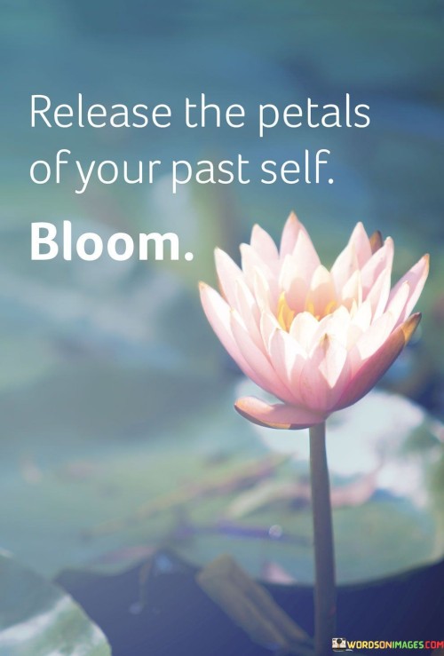 Release-The-Petals-Of-Your-Past-Self-Bloom-Quotes.jpeg