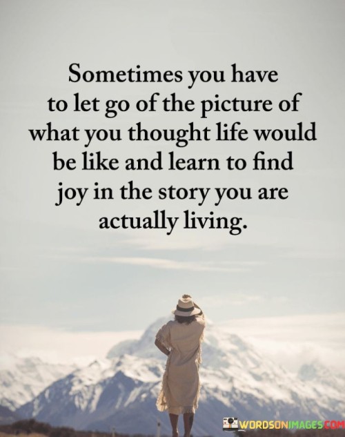 Sometimes-You-Have-To-Let-Go-Of-The-Picture-Of-Quotes.jpeg