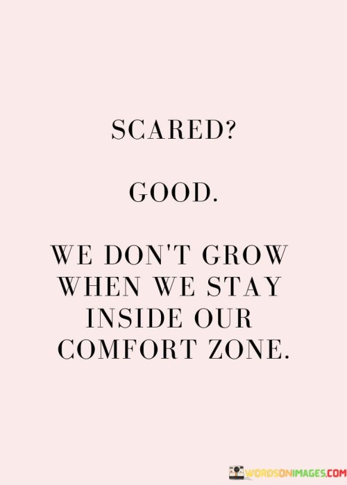 We-Dont-Grow-When-We-Stay-Inside-Our-Comfort-Zone-Quotes.jpeg