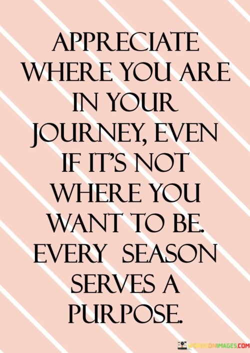 Appreciate Where You Are In Your Journey Even If It's Not Quotes