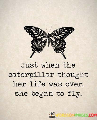 Just-When-The-Caterpillar-Thought-Her-Life-Was-Over-She-Began-Quotes.jpeg