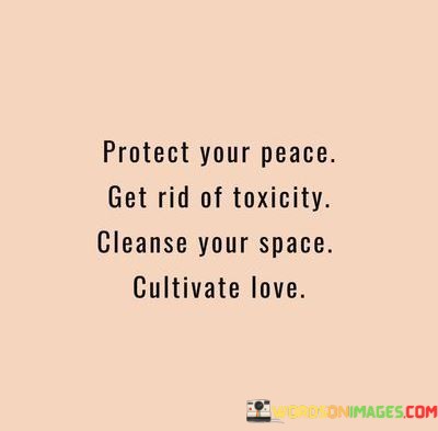 Protect-Your-Peace-Get-Rid-Of-Toxicity-Cleanse-Your-Space-Quotes.jpeg