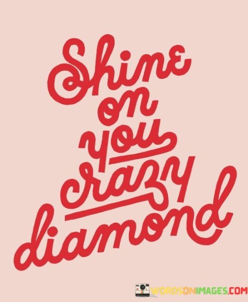 Shine On Your Crazy Diamond Quotes