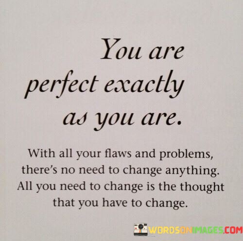You-Are-Perfect-Exactly-As-You-Are-With-All-Your-Flaws-Quotes.jpeg
